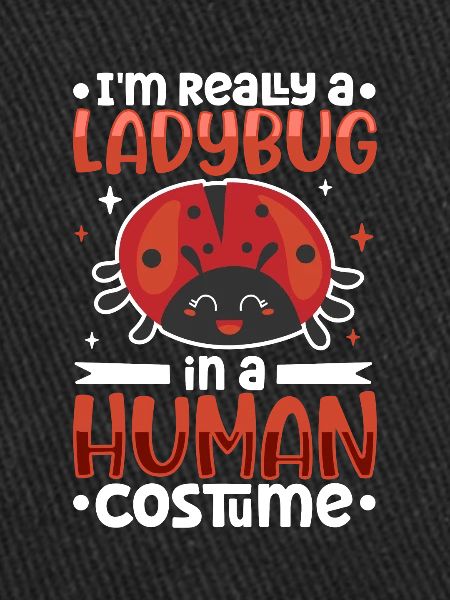 Ladybug Ladybug Entomology Insects