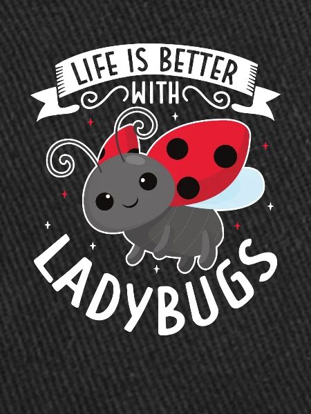 Ladybug Ladybug Entomology Insects