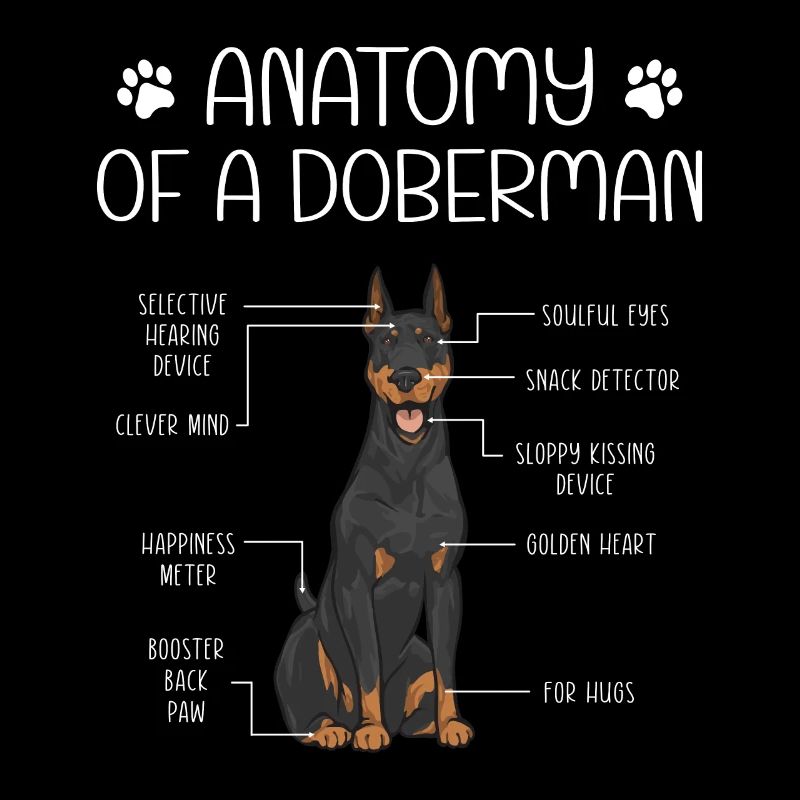 Doberman Pinscher Chien Dobie