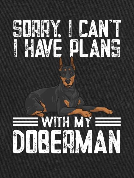 Doberman Pinscher Chien Dobie