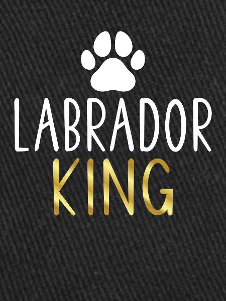 Cadeaux amoureux du Labrador