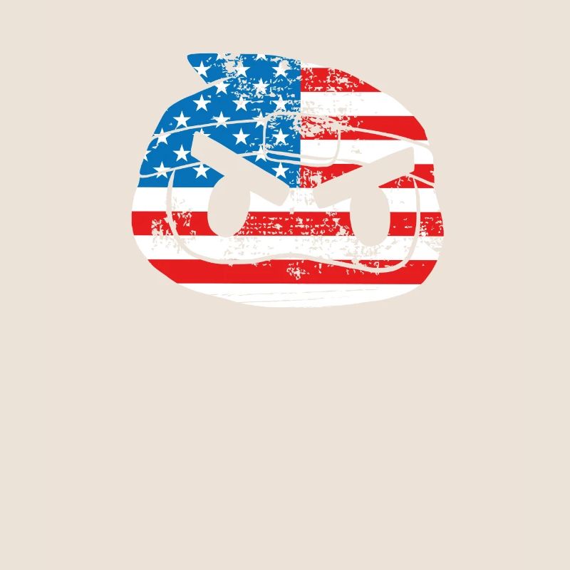 Usa ninja flag