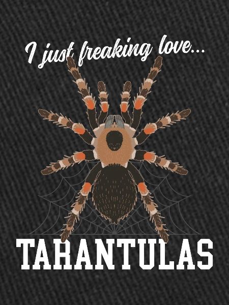 Tarantulas Spider Tarantula Gift