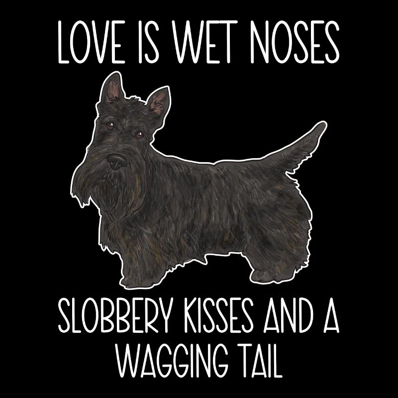 Scottish Terrier Scottie Hund