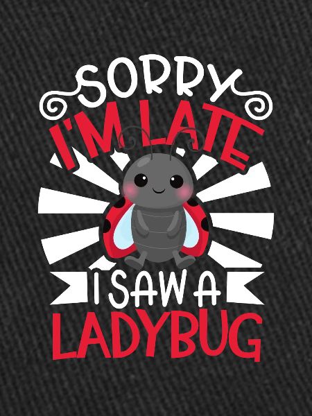 Ladybug Ladybug Entomology Insects