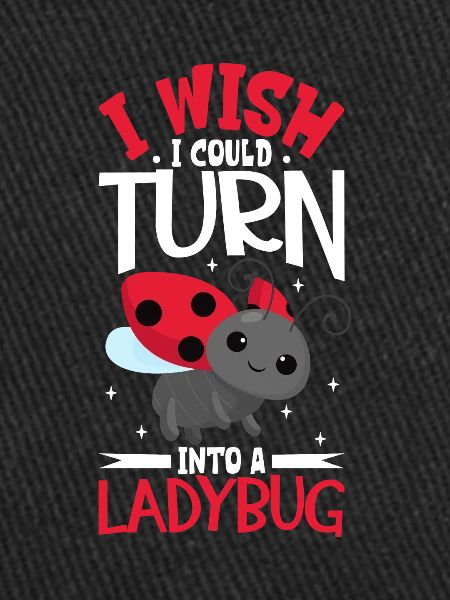 Ladybug Ladybug Entomology Insects