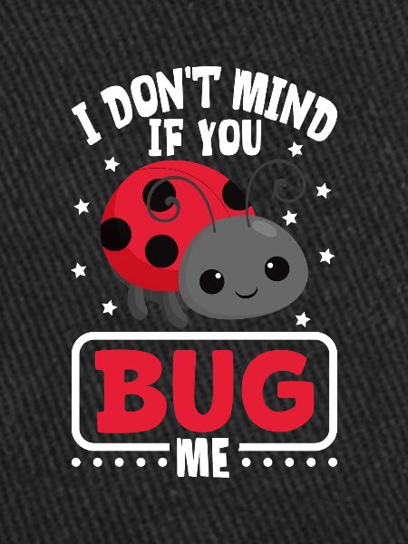 Ladybug Ladybug Entomology Insects