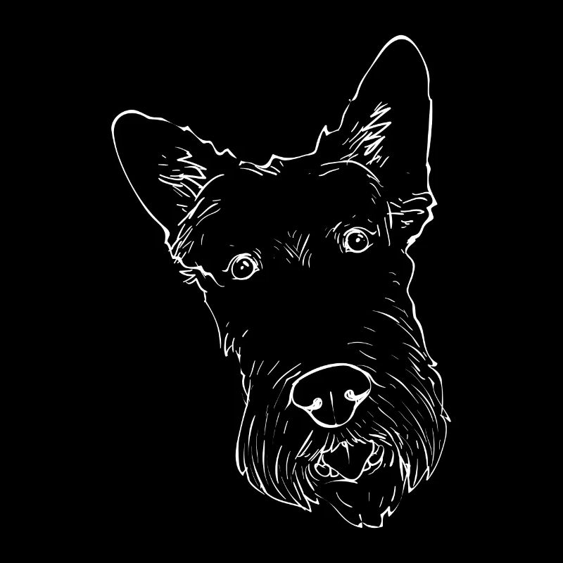 Scottish Terrier Scottie Hund
