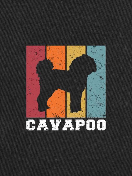 Cavapoo