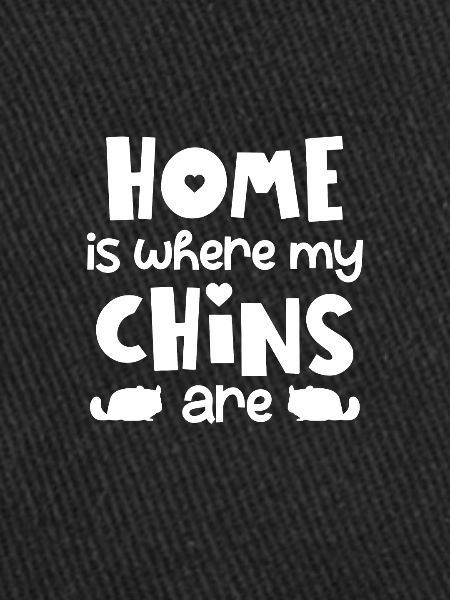 Chinchilla