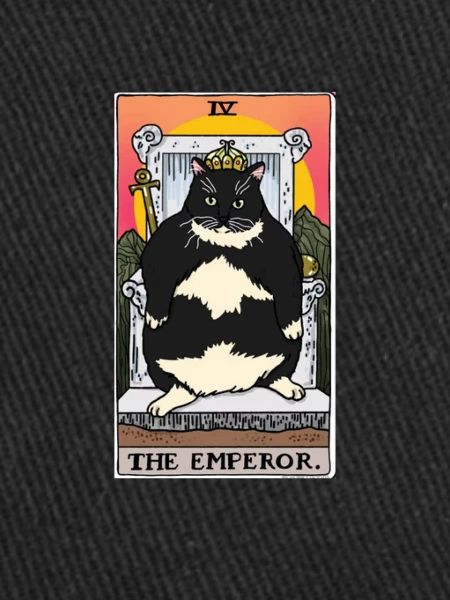 Obésité du gros chat