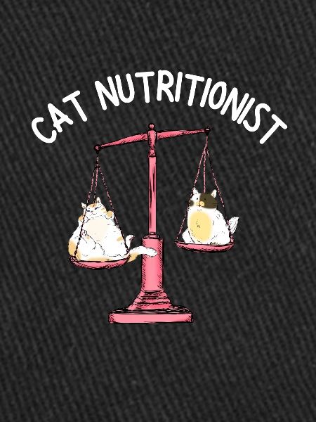 Obésité du gros chat