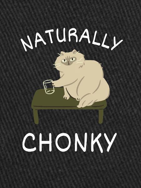 Chonk Cat Obésité