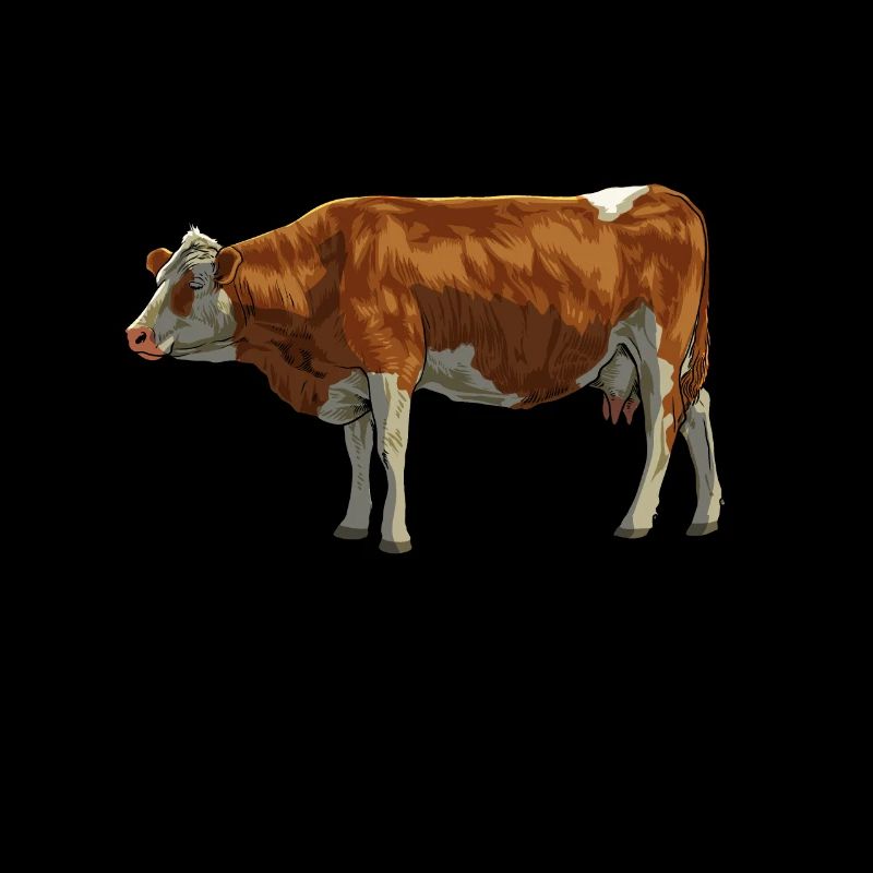 Dessin d’une vache Simmental