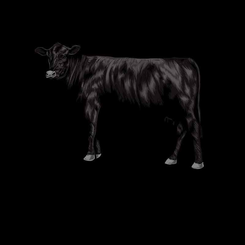 Dessin d’une vache Black Angus