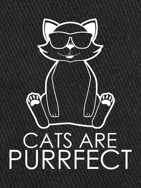 Drôle de blague de chat
