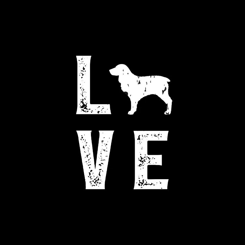 Boykin Spaniel Love