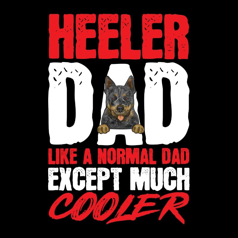 Bouvier australien Red Blue Heeler
