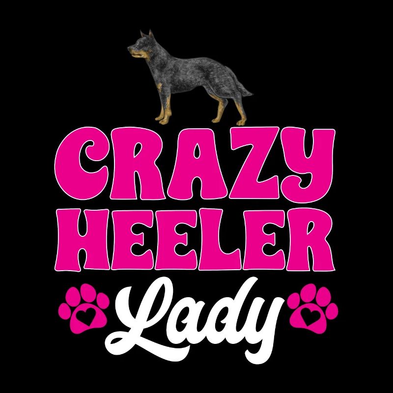 Bouvier australien Red Blue Heeler