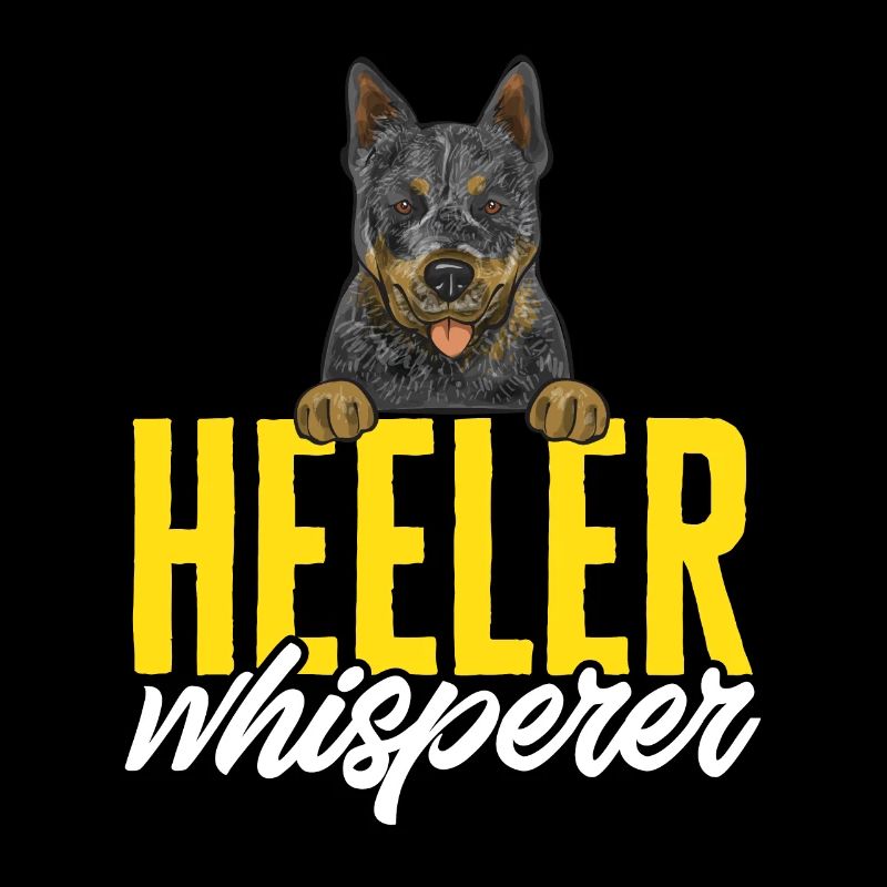 Bouvier australien Red Blue Heeler
