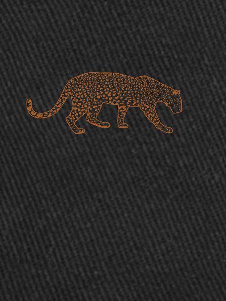 Léopard Grand Chat Afrique