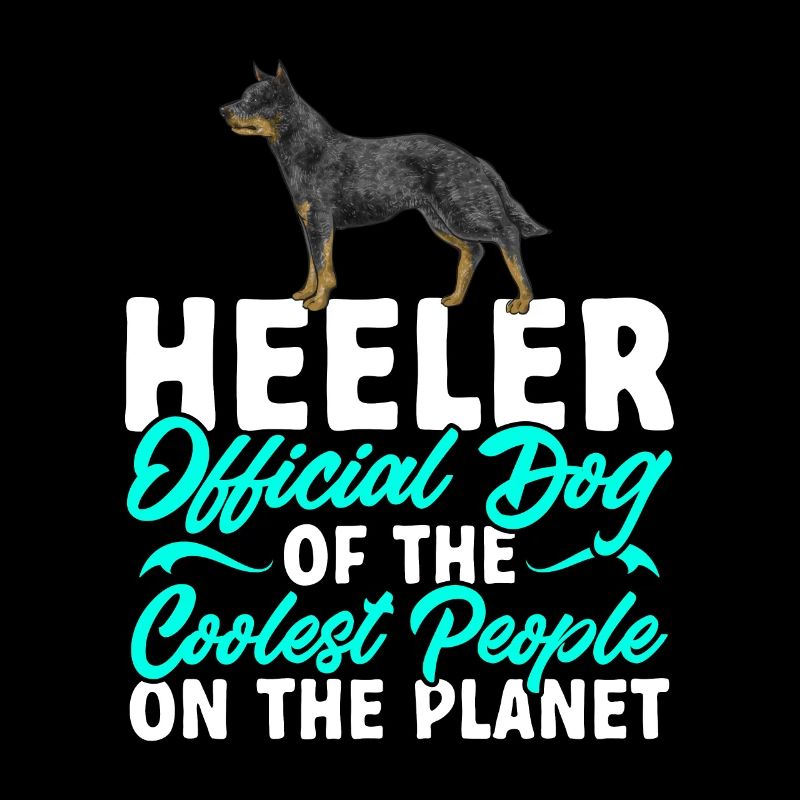 Australian Cattle Dog Red Blue Heeler