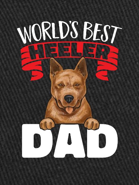 Bouvier australien Red Blue Heeler