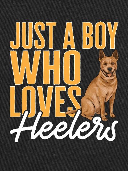 Bouvier australien Red Blue Heeler