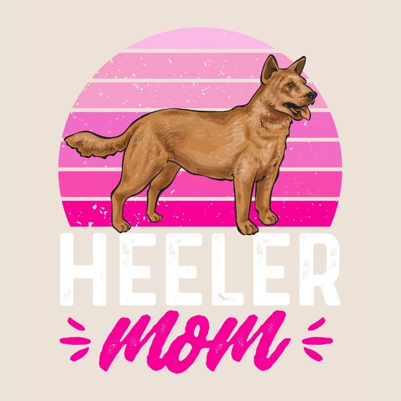 Bouvier australien Red Blue Heeler