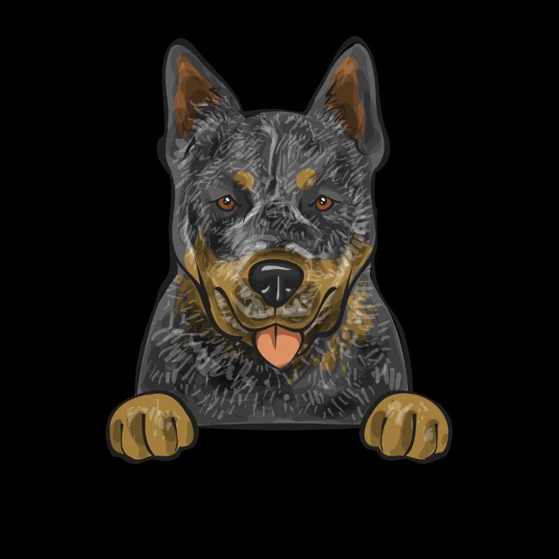 Bouvier australien Red Blue Heeler