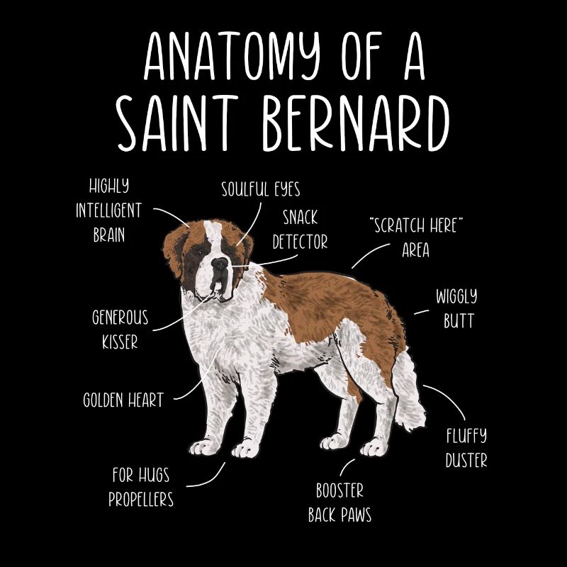 St. Bernard St. Bernard Dog