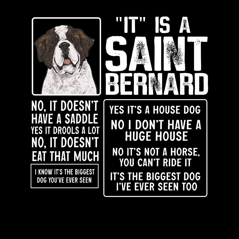 Saint-Bernard Chien Saint-Bernard