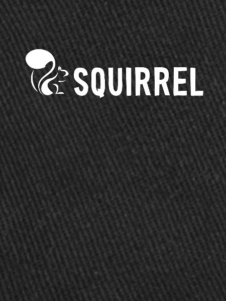 Squirrel Fuchshörnchen Grauhörnchen Squirrel