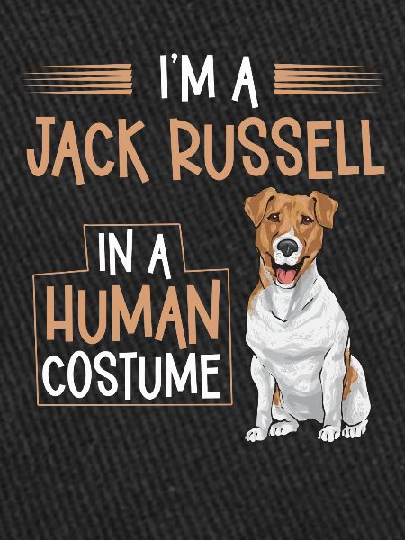 Jack Russell Terrier