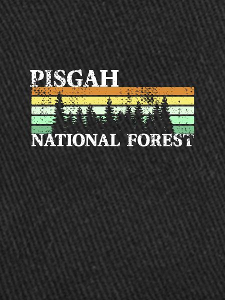 Pisgah National Forest