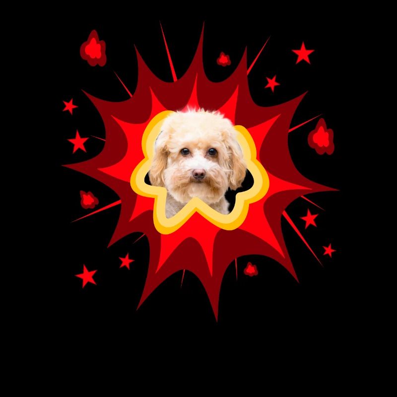 Comic Dog Design - Pow - Caniche miniature - Caniche