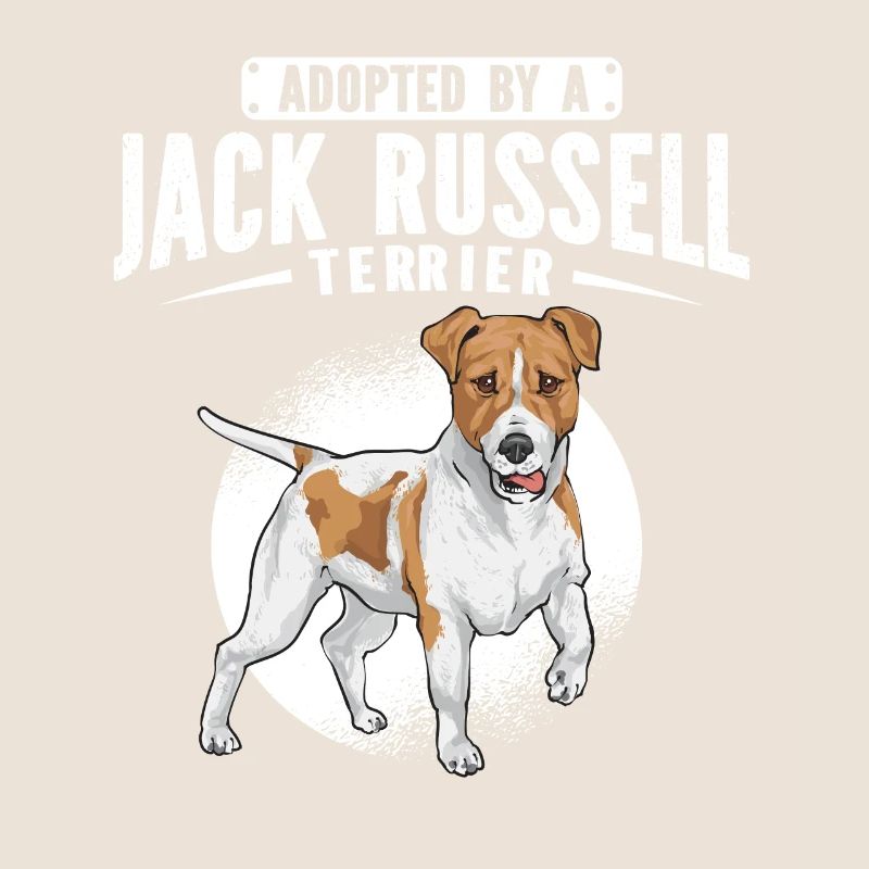 Jack Russell Terrier