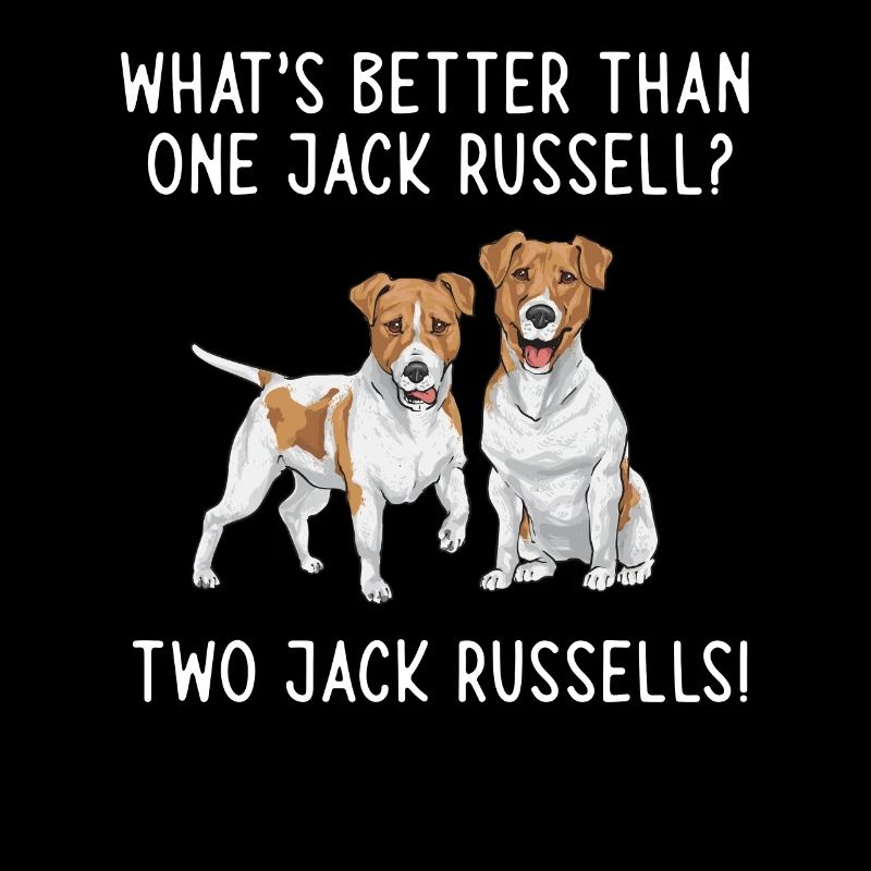 Jack Russell Terrier