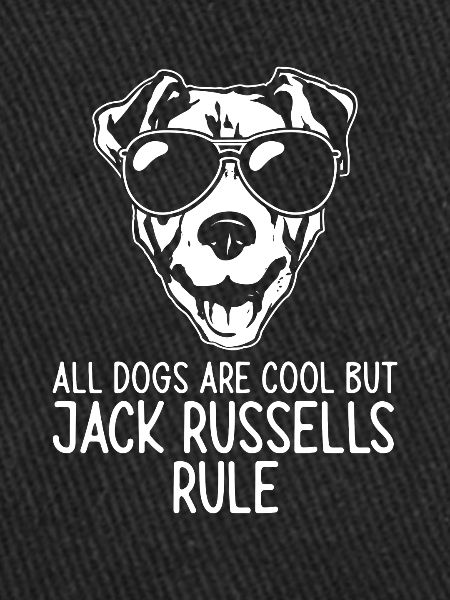 Jack Russell Terrier