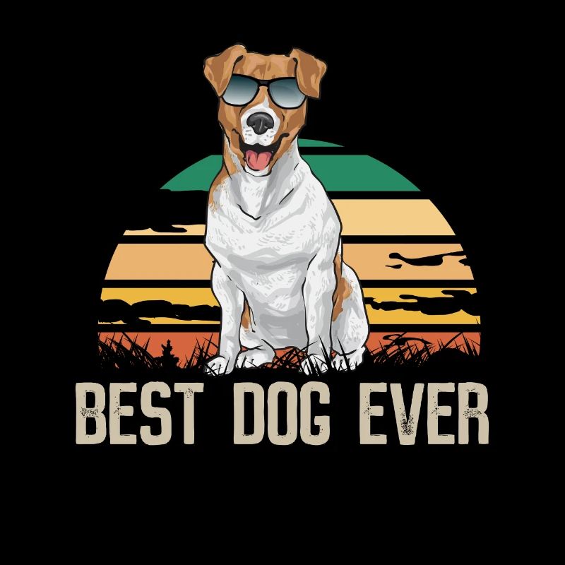 Jack Russell Terrier