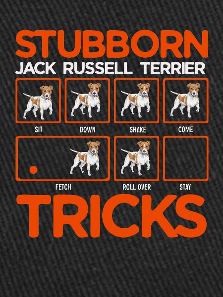 Jack Russell Terrier