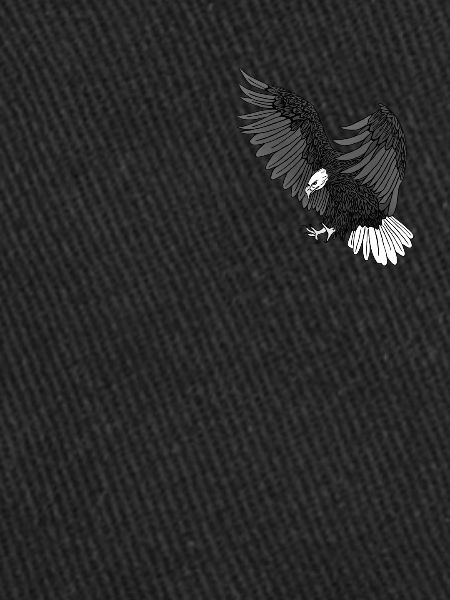 Aigle