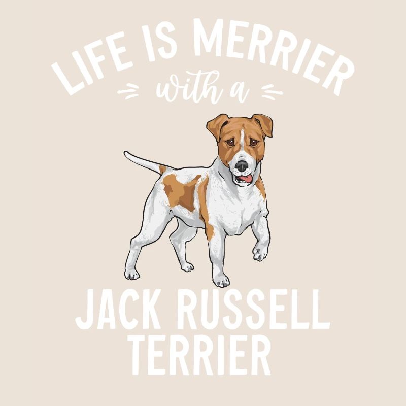 Jack Russell Terrier