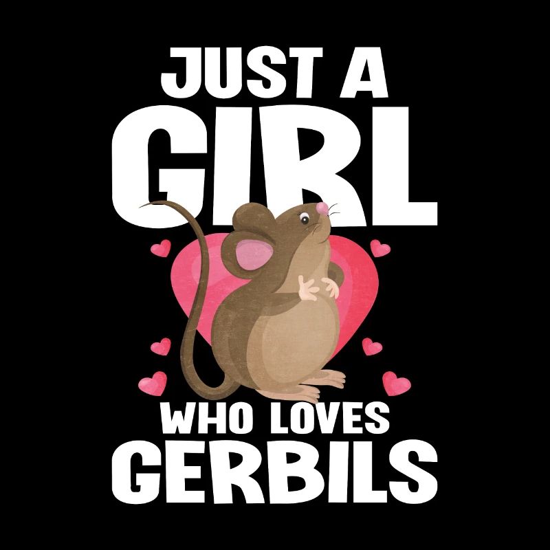 Gerbille Souris Cadeau