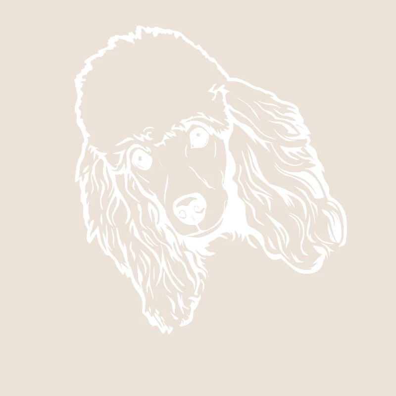 Accessoires pour chiens Caniche Propriétaires de chiens