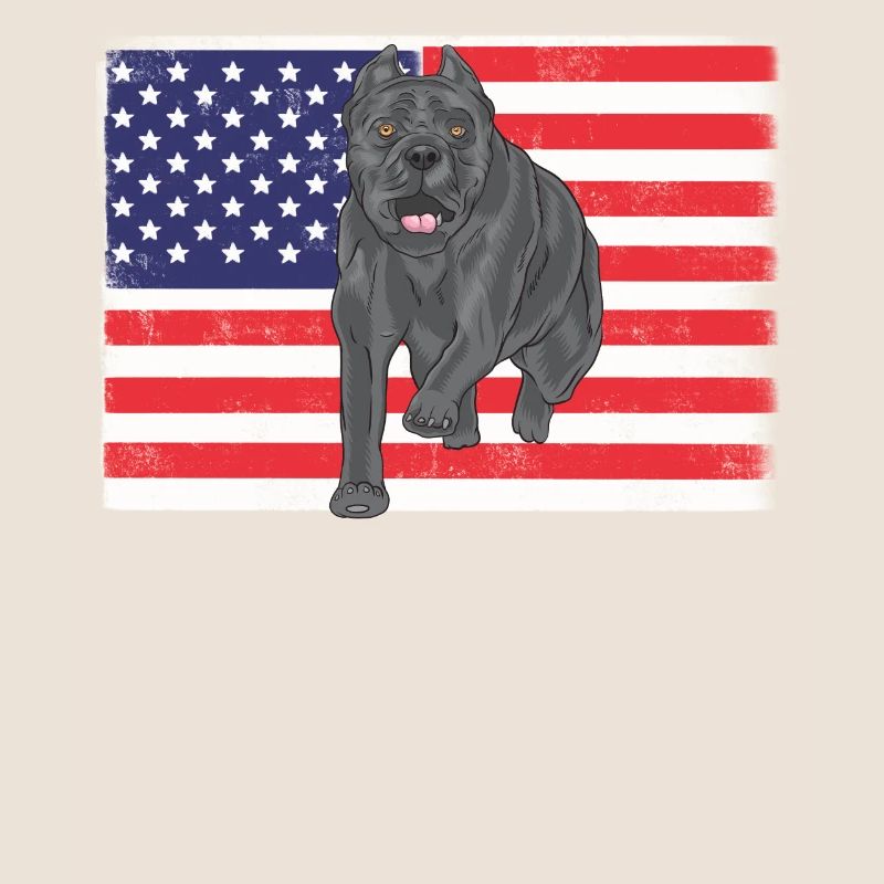 Cane Corso USA