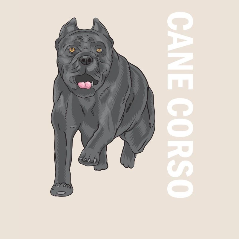 Cane Corso