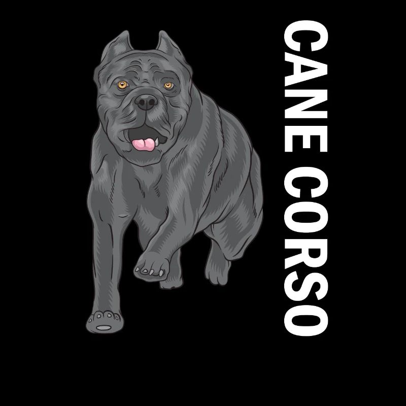 Cane corso
