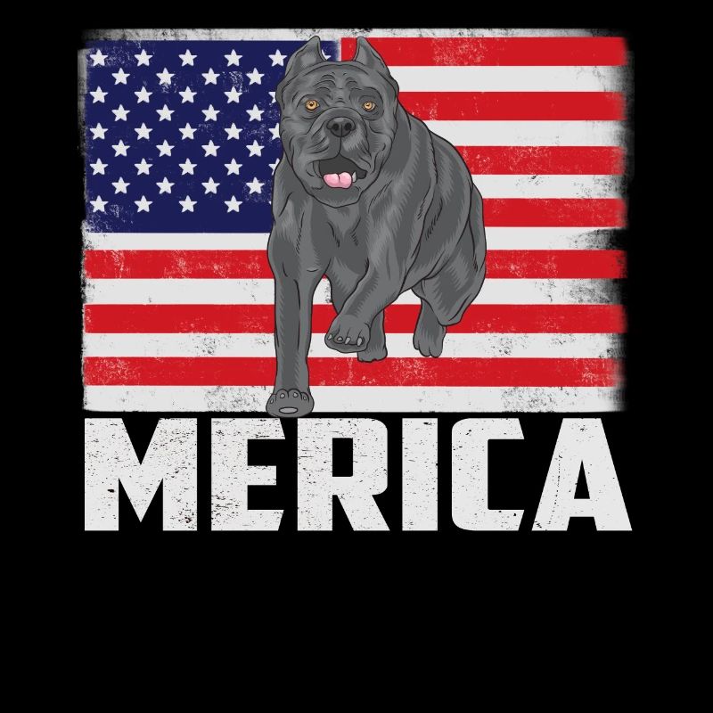 Cane Corso Merica