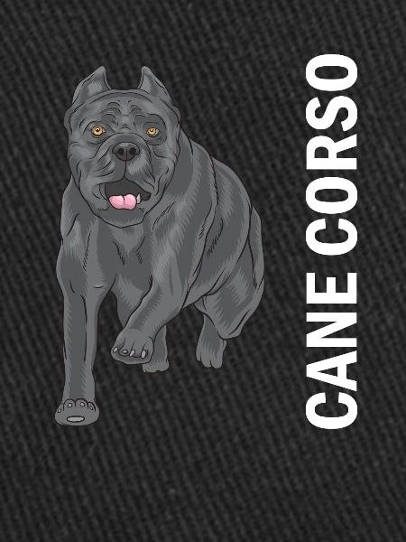 Cane corso